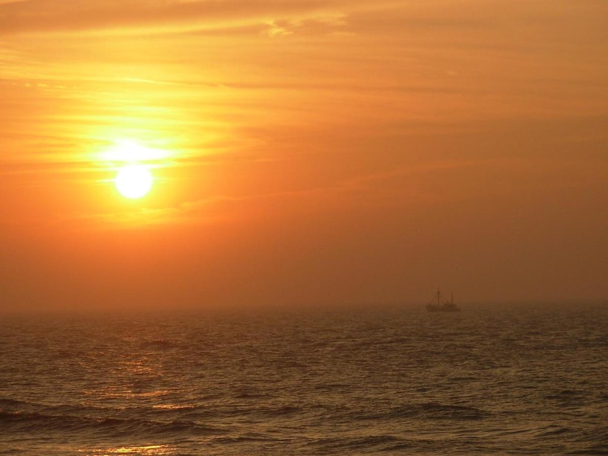 Dunas - 30m Het Oostende